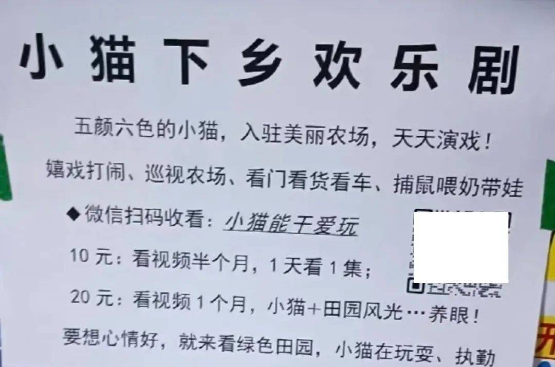 全網(wǎng)追蹤的“賣貓片”可疑廣告<strong></p>
<p>鋼筋網(wǎng)片
</strong>，結(jié)果出人意料:鋼筋網(wǎng)片
