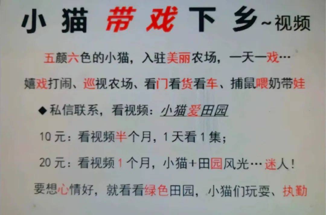 全網(wǎng)追蹤的“賣貓片”可疑廣告<strong></p>
<p>鋼筋網(wǎng)片
</strong>，結(jié)果出人意料:鋼筋網(wǎng)片
