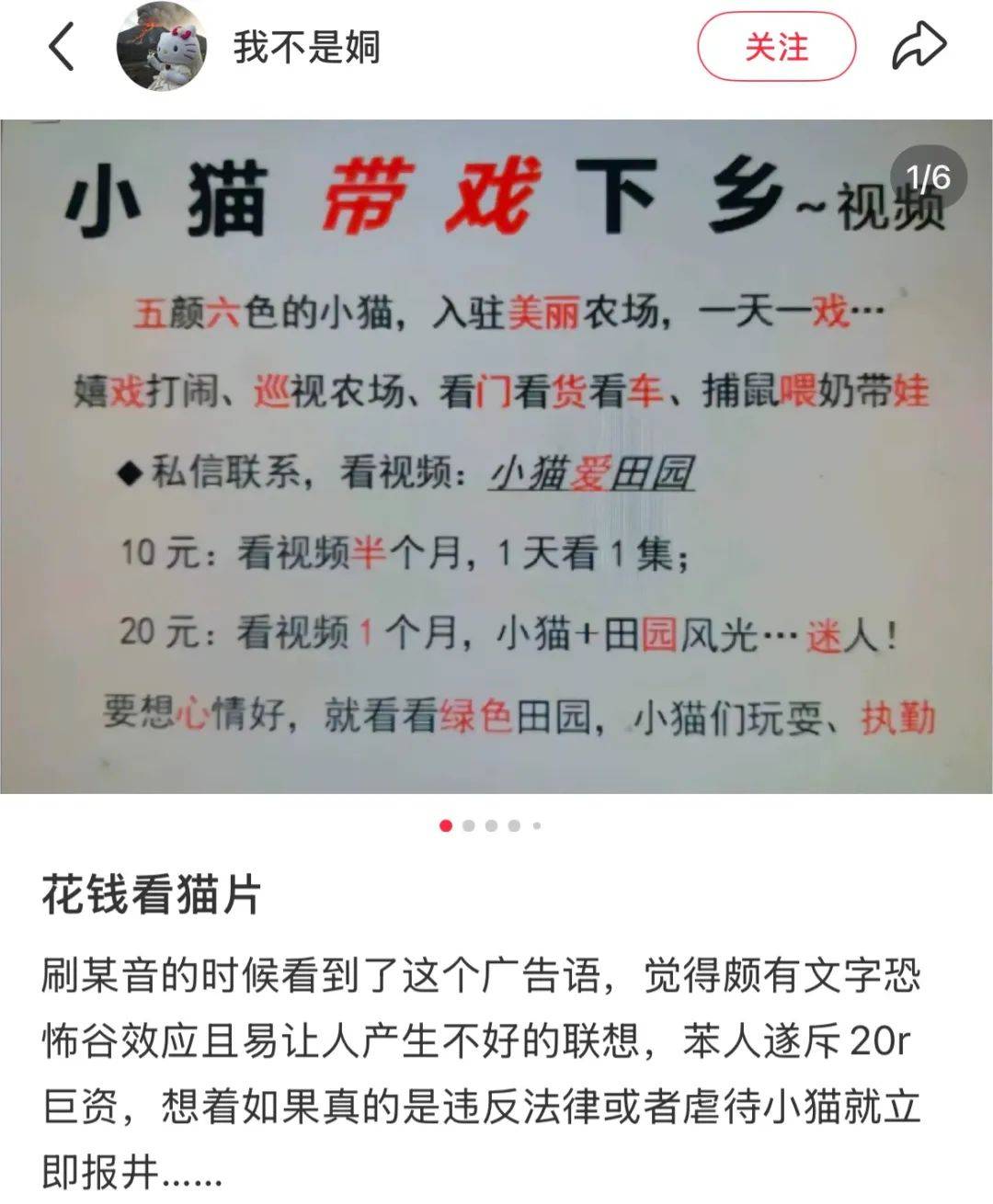 全網(wǎng)追蹤的“賣貓片”可疑廣告<strong></p>
<p>鋼筋網(wǎng)片
</strong>，結(jié)果出人意料:鋼筋網(wǎng)片
