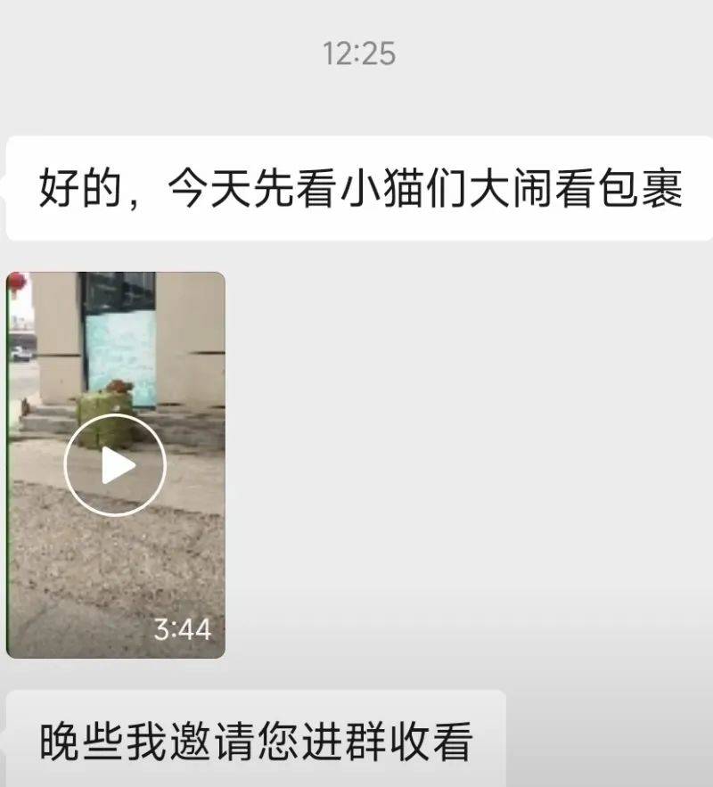 全網(wǎng)追蹤的“賣貓片”可疑廣告<strong></p>
<p>鋼筋網(wǎng)片
</strong>，結(jié)果出人意料:鋼筋網(wǎng)片

